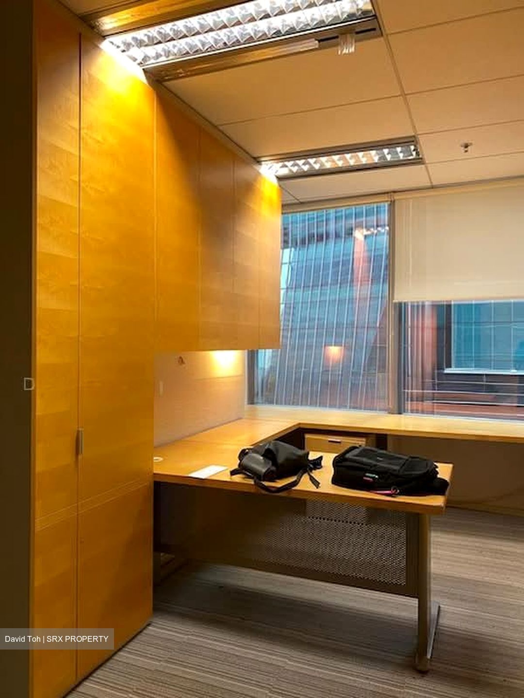 Raffles Place MRT (D1), Office #602332121